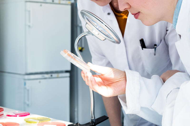 Auftragslabor für Arzneimittel und Medizinprodukte | Tentamus Pharma & Med